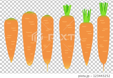 插畫材料:胡蘿蔔-各種形狀的胡蘿蔔套裝 插畫材料:胡蘿蔔-各種形狀的胡蘿蔔套裝 123443252