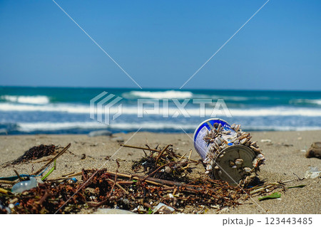 公害 環境汚染 海の生物 123443485