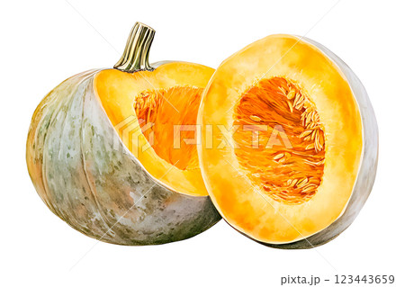 Watercolor realistic painting a pumpkin isolated on white background. Watercolor realistic painting a pumpkin isolated on white background. 123443659