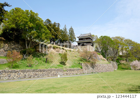 長野県上田市_上田城南櫓5_2024年4月 123444117