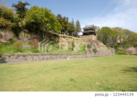 長野県上田市_上田城（尼ヶ淵）4_2024年4月 123444139