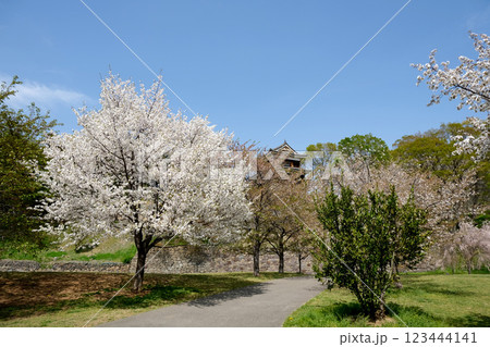 長野県上田市_上田城(尼ヶ淵)6_2024年4月 長野県上田市_上田城(尼ヶ淵)6_2024年4月 123444141