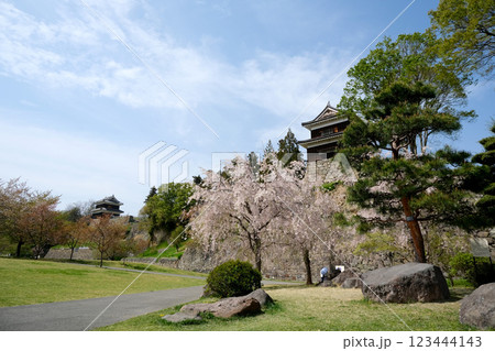 長野県上田市_上田城（尼ヶ淵）8_2024年4月 123444143
