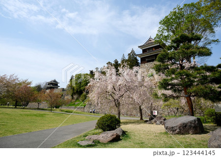 長野県上田市_上田城（尼ヶ淵）10_2024年4月 123444145