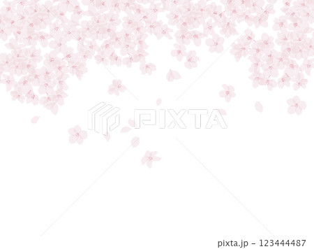 桜のベクターイラスト素材 123444487