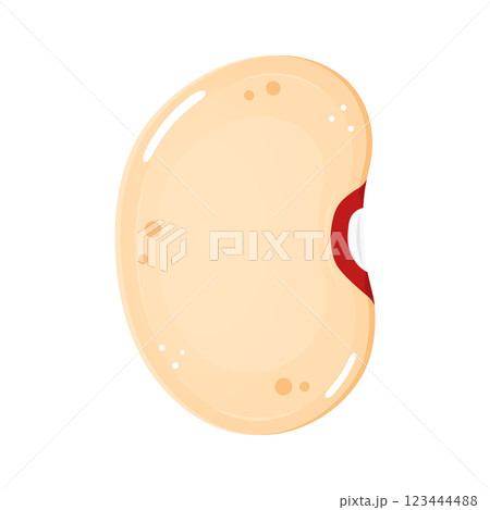 Single cannellini bean illustration, showing a white kidney bean with a red hilum. 123444488