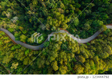Aerial view of a green tree lined road winds through a lush landscape, mirroring the forested hills Aerial view of a green tree lined road winds through a lush landscape, mirroring the forested hills 123444792