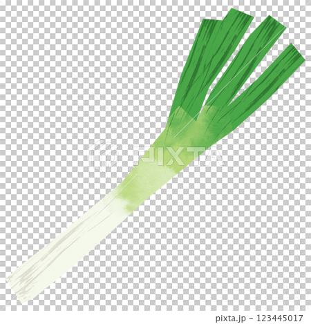 Paper-cut style green onion 123445017