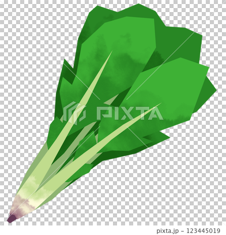 Paper-cut spinach 123445019