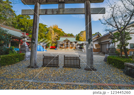 田原市にある田原城跡の巴江神社の鳥居のある風景(愛知県) 田原市にある田原城跡の巴江神社の鳥居のある風景(愛知県) 123445260
