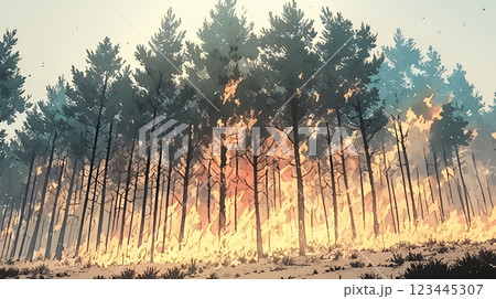 大規模な山林火災（大きな山火事）