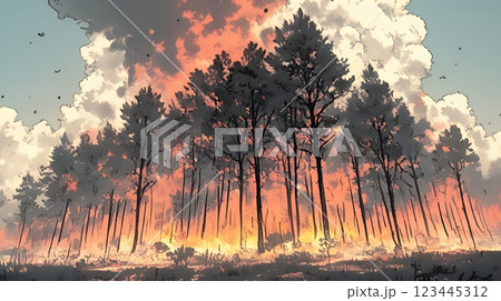 大規模な山林火災（大きな山火事）