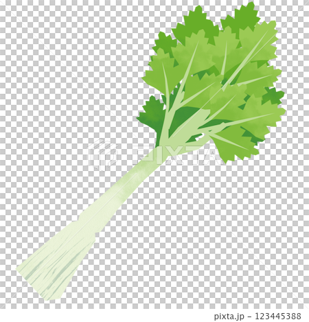 Celery in paper cut style Celery in paper cut style 123445388