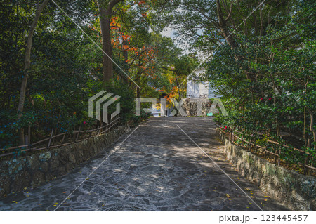 田原市にある田原城跡の田原城桜門と紅葉の風景(愛知県) 田原市にある田原城跡の田原城桜門と紅葉の風景(愛知県) 123445457