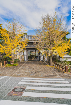 田原市にある田原城跡の田原城桜門と紅葉の風景(愛知県) 123445575