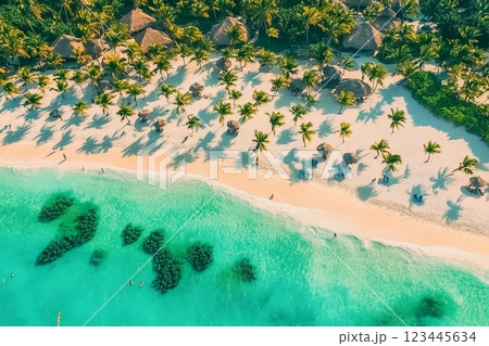 Aerial view of tropical beach. Punta Cana, Dominican Republic 123445634