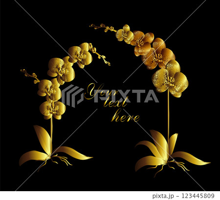 Golden Orchid. hand drawing. Not AI, Vector illustration. 123445809