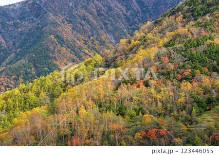 紅葉シーズンの山岳風景、カラフルな樹木と雄大な自然のコントラスト 123446055
