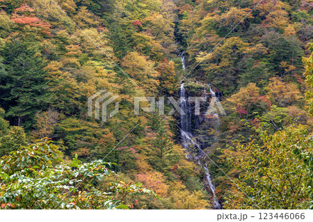 鮮やかな紅葉に囲まれた日光・蛇王の滝の絶景 123446066