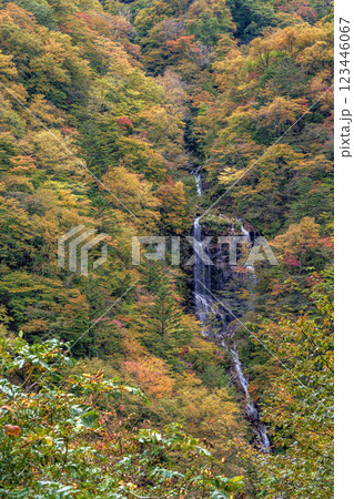 鮮やかな紅葉に囲まれた日光・蛇王の滝の絶景 123446067
