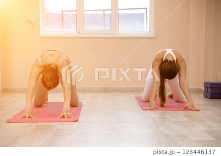 Two beautiful women do yoga, sports in the gym. The concept of grace and beauty of the body. 123446137