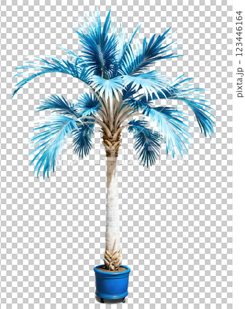 Bismarck Palm Tree, silver-blue leaves, dramatic top lighting, professional product photography, premium advertising style 123446164