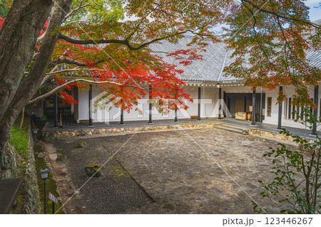 田原市にある田原城跡の田原市博物館と紅葉の風景(愛知県) 田原市にある田原城跡の田原市博物館と紅葉の風景(愛知県) 123446267