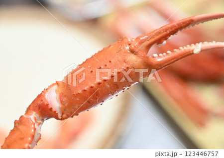 Korean seafood. red snow crab Korean seafood. red snow crab 123446757