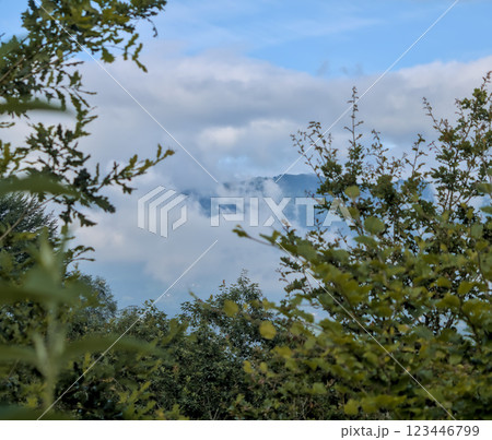 mountain, green, landscape, cloud, panorama, blue, nature, tree, flower, meadow, forest, grass, house, town, hike, peak, summit, fresh air, agriculture, ancient, architecture, complex, trail, 123446799