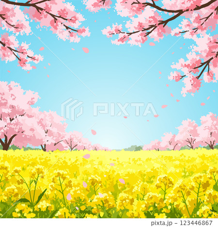 桜と菜の花のある春の風景、ベクター素材 桜と菜の花のある春の風景、ベクター素材 123446867