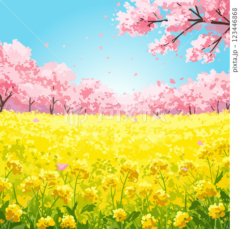 桜と菜の花のある春の風景、ベクター素材 桜と菜の花のある春の風景、ベクター素材 123446868