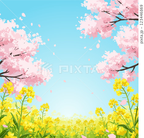 桜と菜の花のある春の風景、ベクター素材 桜と菜の花のある春の風景、ベクター素材 123446869