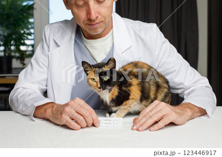 Professional veterinarian with orange and black cat pet and diagnostic test in his hand indoor Professional veterinarian with orange and black cat pet and diagnostic test in his hand indoor 123446917
