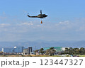 陸上自衛隊　UH-1 123447327