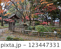 横浜　彼我公園 123447331