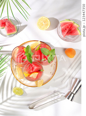 Ice cold homemade lemonade or cocktail with mint, watermelon and fruits on a sunny table, refreshing summer drink recipe, detox diet and weight loss concept, menu for restaurant, Ice cold homemade lemonade or cocktail with mint, watermelon and fruits on a sunny table, refreshing summer drink recipe, detox diet and weight loss concept, menu for restaurant, 123447350