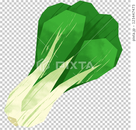 剪紙風格小白菜 123447473