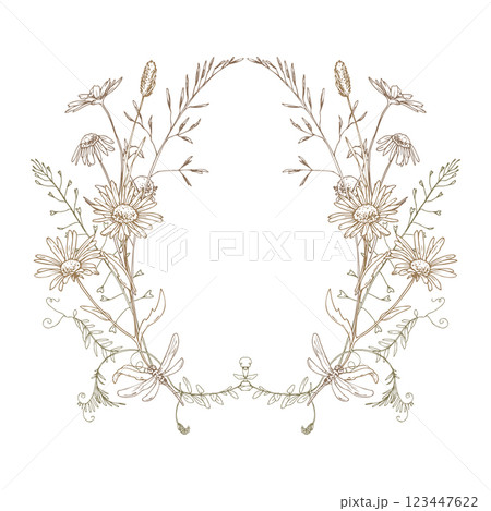 Field, meadow, wild flowers and herbs chamomile, meadow bluegrass and dragonfly. Line art is a simple hand-drawn illustration in beige, ochre, brown ink. Circle wreath frame vector EPS Field, meadow, wild flowers and herbs chamomile, meadow bluegrass and dragonfly. Line art is a simple hand-drawn illustration in beige, ochre, brown ink. Circle wreath frame vector EPS 123447622