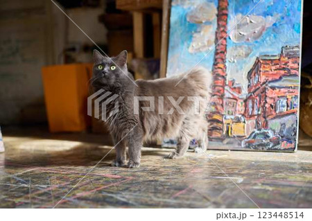A Charming Feline Captured in an Artistic Studio Environment of Creativity and Inspiration 123448514
