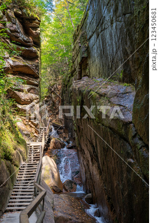 wooden walkway and path in the canyon of Flume Gorge in the Franconia Notch State Park, New Hampshire 123450681