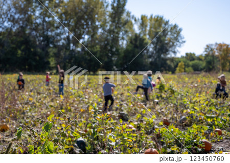 School Class field trip to a pumpkin patch in the fall 123450760