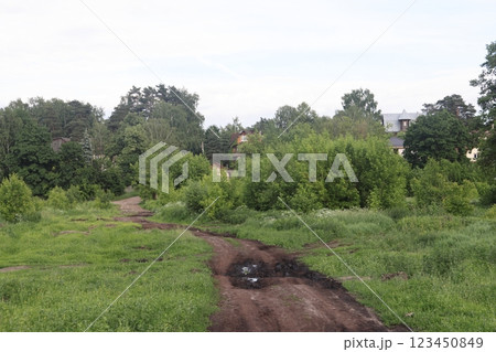 countryside dirt road in to the forest. green nature landscape in summer.  123450849