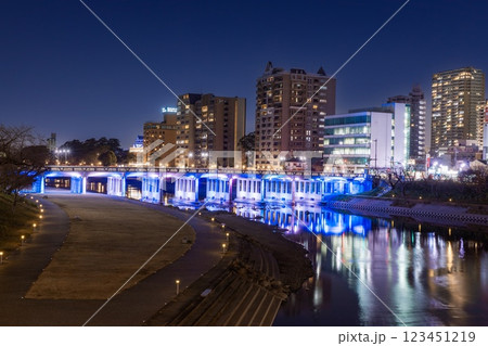 岡崎市、殿橋の夜景 123451219