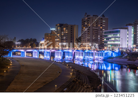 岡崎市、殿橋の夜景 123451225