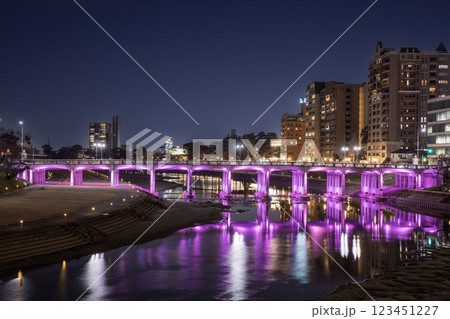 岡崎市、殿橋の夜景 岡崎市、殿橋の夜景 123451227