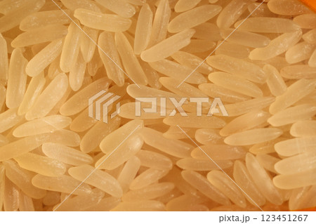 CloseUp View of Uncooked White Rice Grains in Detail, Capturing Their Unique Texture CloseUp View of Uncooked White Rice Grains in Detail, Capturing Their Unique Texture 123451267