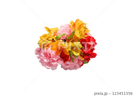 カーネーションとアルストロメリアの花束 カーネーションとアルストロメリアの花束 123451356