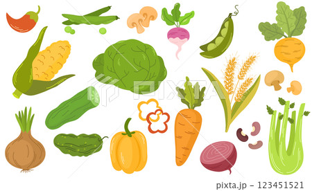 2089_vegetables_fresh 123451521