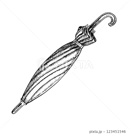 Blue umbrella cane. A hand-drawn vector graphic illustration. Black and white image of a vintage accessory. Separate from the background. For posters, postcards and banners, flyers, packages and label Blue umbrella cane. A hand-drawn vector graphic illustration. Black and white image of a vintage accessory. Separate from the background. For posters, postcards and banners, flyers, packages and label 123451546