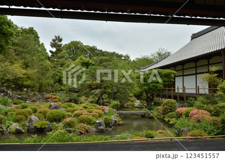 春の等持院　方丈北庭　芙蓉池(京都市北区) 123451557